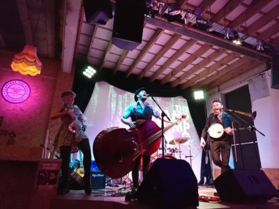 All the Wild Folk With The Swamp Stomp String Band + Ben Hemming